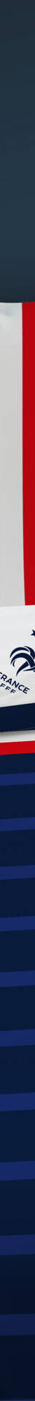 Parure de lit imprimée FFF - coton (bleu) Parure de lit imprimée FFF - coton (bleu)